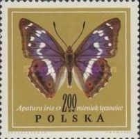 Purple Emperor (Apatura iris)