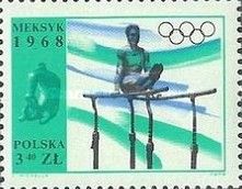 Athlete on Parallel Bars