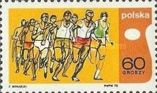Cross-country race