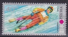 Luge
