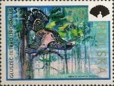 Western Capercaillie (Tetrao urogallus)
