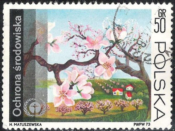 Orchard