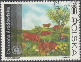 Grazing Cows