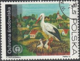 White Stork's Nest (Ciconia ciconia)