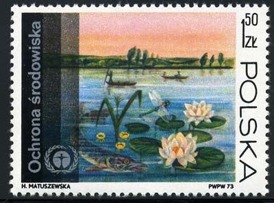 Pond with Pike (Esox lucius) and Water Lilies