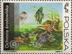 Underwater Fauna and Flora