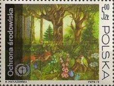 Forest Scene
