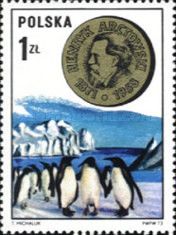Henryk Arctowski, Adelie Penguins (Pygoscelis adeliae)