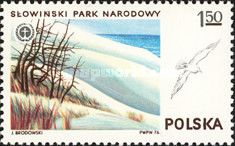 Slowinski National Park and Seagull (Laridea)