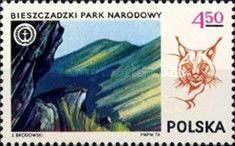 Bieszczady National Park and Eurasian Lynx (Lynx lynx)