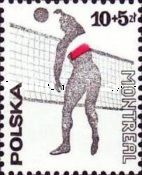 Volleyball