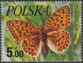 High Brown Fritillary (Fabriciana adippe)