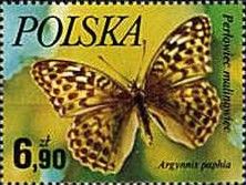 Silver-washed Fritillary (Argynnis paphia)