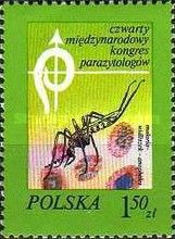 Anopheles Mosquito (Anopheles maculipennis), Blood Cells