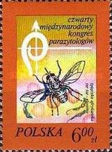 Tsetse Fly (Glossina) and Blood Cells