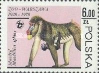 Mandrill (Mandrillus sphinx)