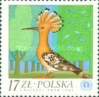 Eurasian Hoopoe (Upupa epops)