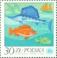 Sailfish, Redfish, Puffer Fish, Sailship