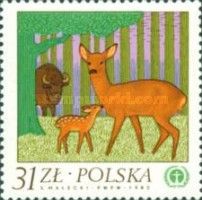 Roe Deer (Capreolus capreolus), European Bison (Bos bonasus)