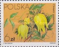 Golden Clematis (Clematis tangutica)