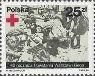 Red Cross Symbol, Insurgents