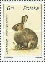European Rabbit (Oryctolagus cuniculus)