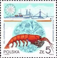 Antarctic Krill (Euphausia superba) & "Antoni Garnuszewski"