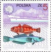Marbled Rockcod, Antarctic Toothfish and "Zulawy"