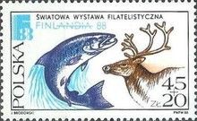 Atlantic Salmon (Salmo salar), Reindeer (Rangifer tarandus)