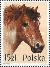 Ardennes Horse (Equus ferus caballus)