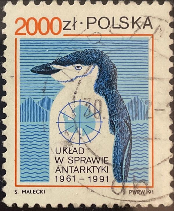 Chinstrap Penguin (Pygoscelis antarctica)