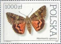 Dark Crimson Underwing (Catocala sponsa)