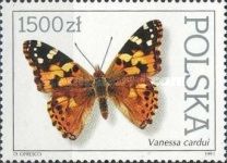 Painted Lady (Vanessa cardui)
