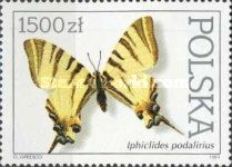Scarce Swallowtail (Iphiclides podalirius)