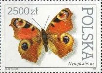 European peacock (Nymphalis io)