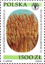 Ears of grain