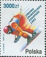 Winter University Games, Zakopane - Descending skier