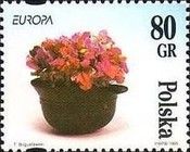 Flowers in a Soldier's Helmet