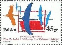 Flying Birds against the Background of the Polish Flag