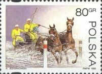 Horse-drawn Carriage - Marathon