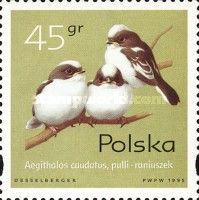 Long-tailed Tit Chicks (Aegithalos caudatus)