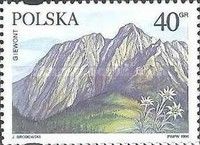 Giewont and Edelweiss (Leontopodium alpinum)