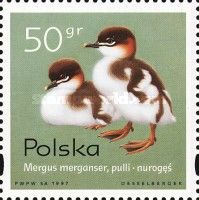 Common Merganser (Mergus merganser)