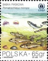 Common Goby (Pomatoschistus microps)