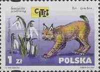 Snowdrop (Galanthus nivalis), Eurasian Lynx (Lynx lynx)