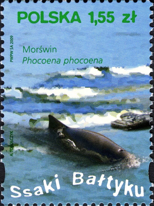 Harbour Porpoise (Phocoena phocoena)