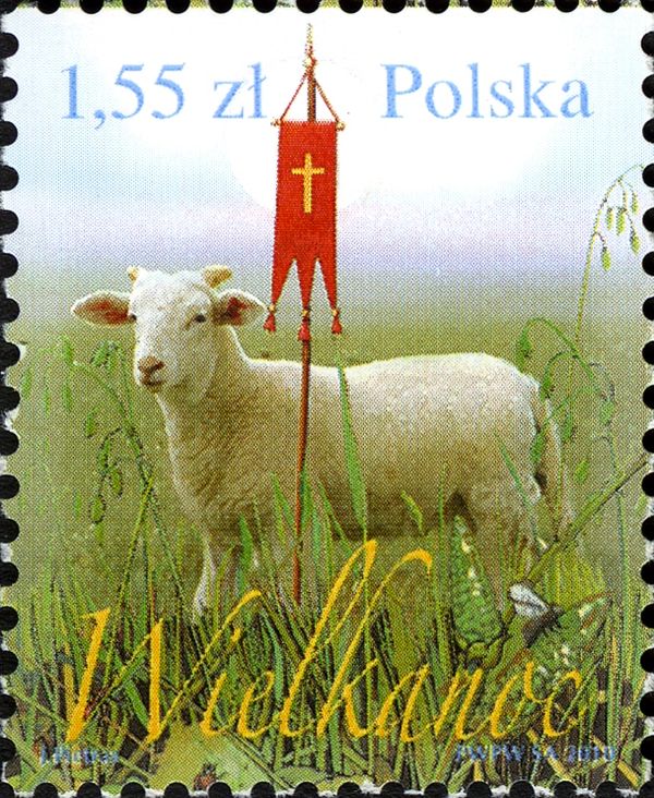 Lamb (Ovis ammon aries) and Banner