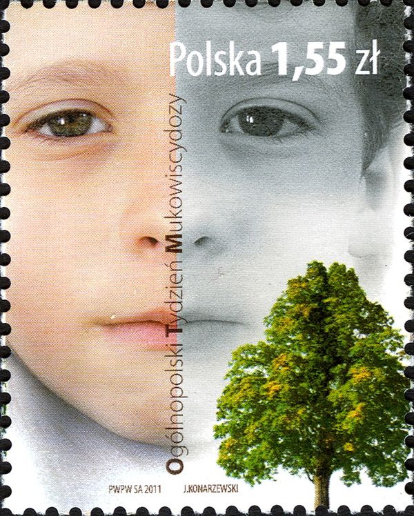 Child's face and tree