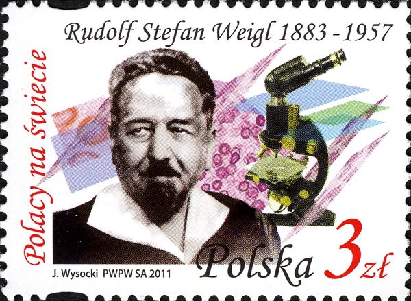 Rudolf Stefan Weigl