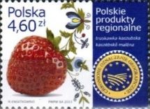 Truskawka Kaszubska
